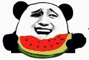 娱乐瓜姨吃瓜群众,揭秘吃瓜群众的狂欢盛宴